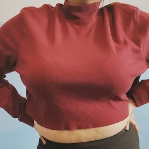 Turtle neck crop